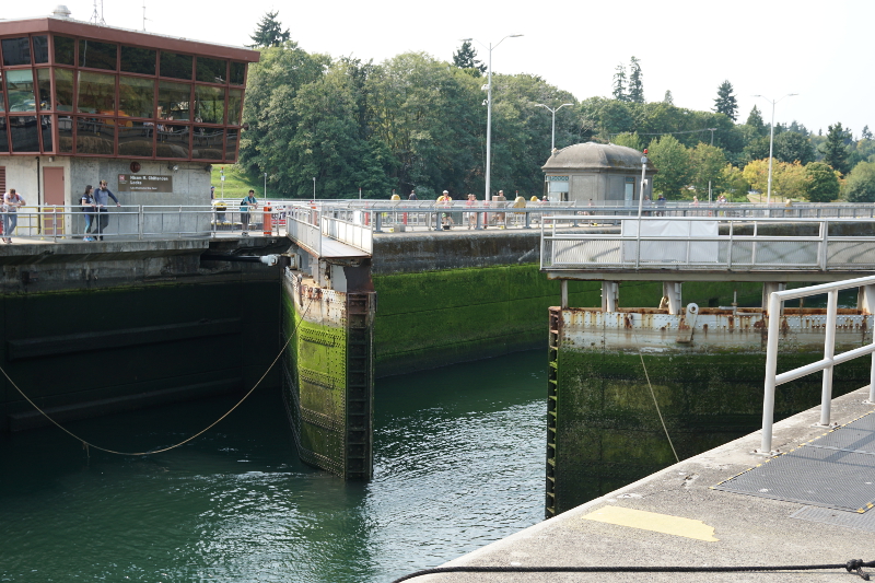 西雅圖景點 – 巴剌德運河 Ballard Locks