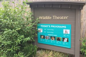 Woodland Park Zoo Wildlife Theater
